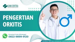 Pengertian Orkitis