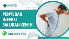 Penyebab Infeksi Saluran Kemih