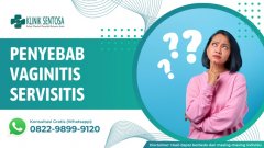 Penyebab Vaginitis Servisitis